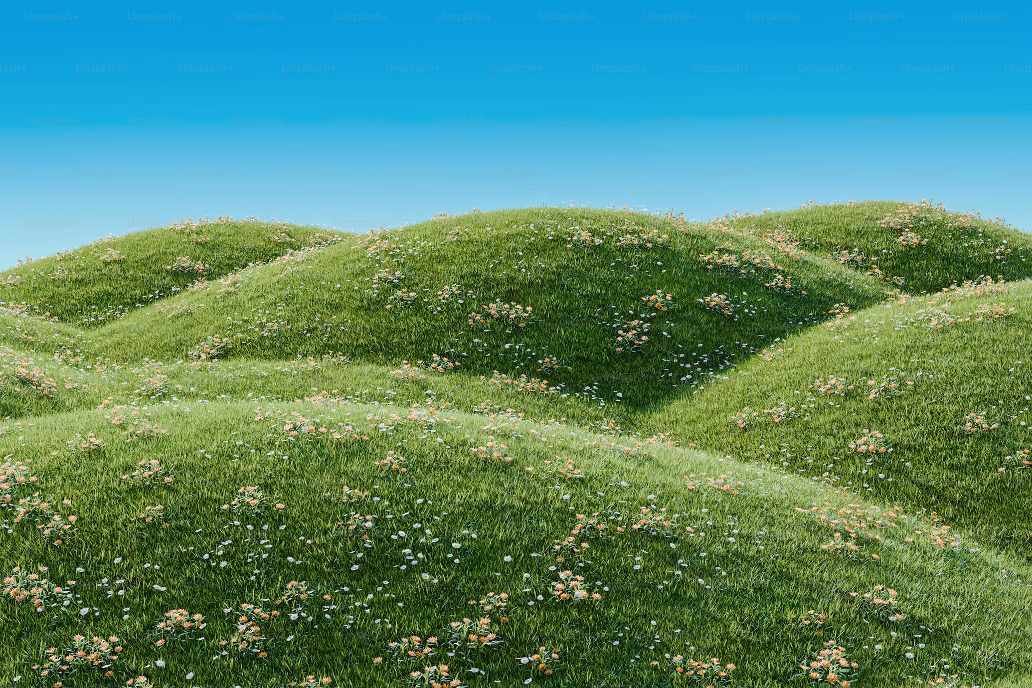 Auth Background